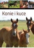 Konie i kuce