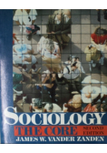 Sociology The Core s