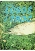 Łosoś i troć