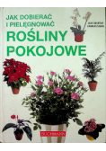 Jak dobierać i pielęgnować rośliny pokojowe