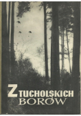 Z Tucholskich Borów