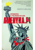 Ameryka Pl Opowieść o Polakach w USA