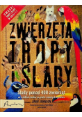 Zwierzęta tropy i ślady