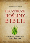 Lecznicze rośliny Biblii Tajemnice zdrowotne