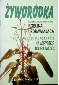 Żyworodka
