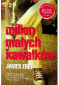 Milion małych kawałków