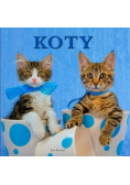 Koty