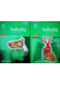 Sobotta Atlas anatomii człowieka Tom 1 i 2