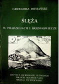 Ślęża w pradziejach i średniowieczu