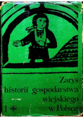 Zarys historii gospodarstwa wiejskiego w Polsce, Tom I