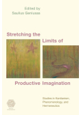 Stretching the Limits of Productive Imagination