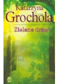 Zielone drzwi