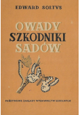 Owady szkodniki sadów