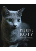 Piękne koty