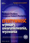 Efektywność Wymiary uwarunkowania wyzwania