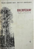 Buk zwyczajny