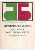 Niewidzialne skrzydła