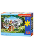 Puzzle Princess and Her Friend 60