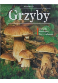 Grzyby Gatunki Zbieranie Przyrządzanie