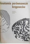 Anatomia porównawcza kręgowców