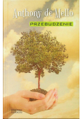 Przebudzenie