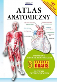 Atlas anatomiczny