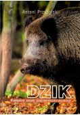 Dzik Praktyczne zasady gospodarowania populacją