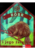 Bóbr i jego żeremie