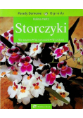 Storczyki
