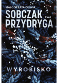Wyrobisko