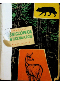 Leśniczówka w wilczym kącie