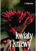 Kwiaty i krzewy