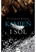Kamień i sól