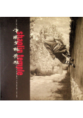 Shaolin temple