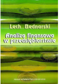 Analiza finansowa w przedsiębiorstwie