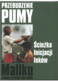 Przebudzenie pumy Ścieżka inicjacji Inków