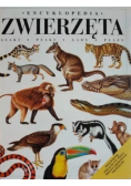 Encyklopedia zwierzęta Ssaki ptaki gady płazy