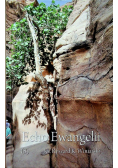 Echo Ewangelii 8