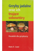 Grzyby jadalne oraz ich trujące sobowtóry