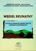 Węgiel Brunatny