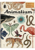 Animalium