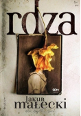Rdza