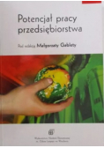 Potencjał pracy przedsiębiorstwa