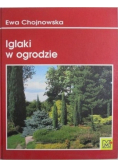 Iglaki w ogrodzie