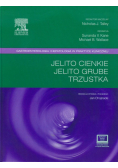 Jelito cienkie Jelito grube Trzustka