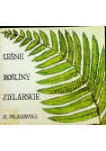 Leśne rośliny zielarskie