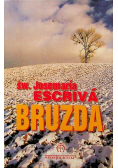 Bruzda Miniatura