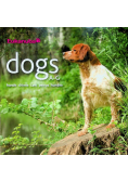 Dogs A - G