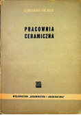 Pracownia ceramiczna