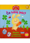 Co lubię jeść Nauka i zabawa dla maluszka
